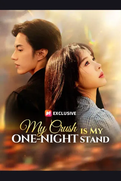 My Crush is My One-Night Stand poster