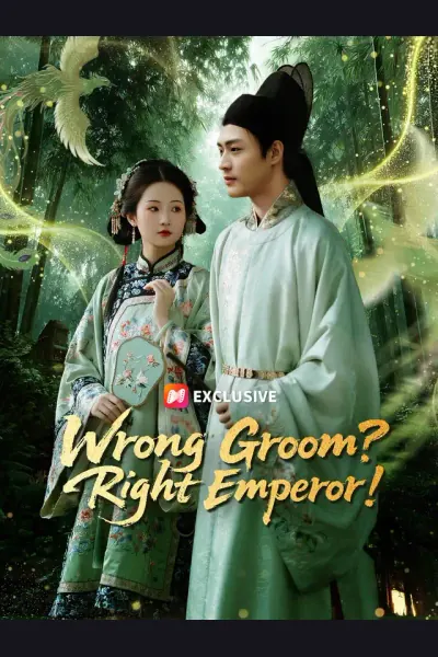 Wrong Groom? Right Emperor! poster