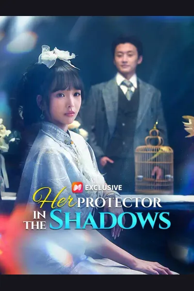 Her Protector in the Shadows poster