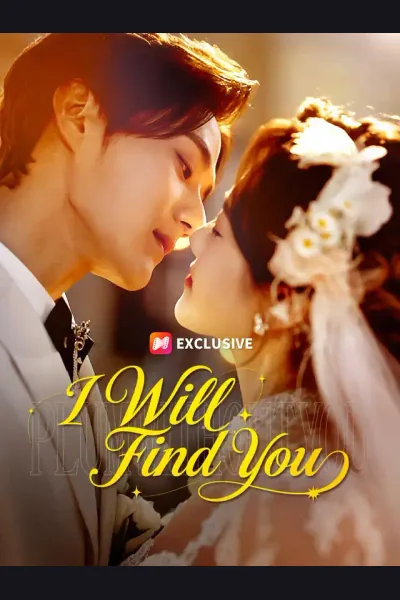 Póster de I Will Find You