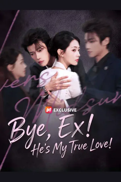 Bye, Ex! He's My True Love! poster