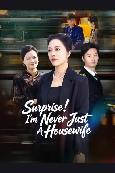 Póster de Surprise! I'm Never Just A Housewife