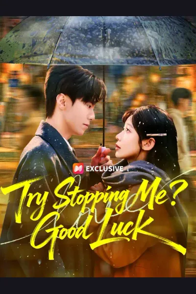 Affiche de Try Stopping Me? Good Luck