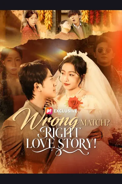 Wrong Match? Right Love Story! poster