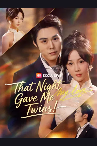 Pôster de That Night Gave Me Twins!