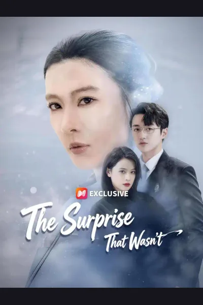 Affiche de The Surprise That Wasn’t