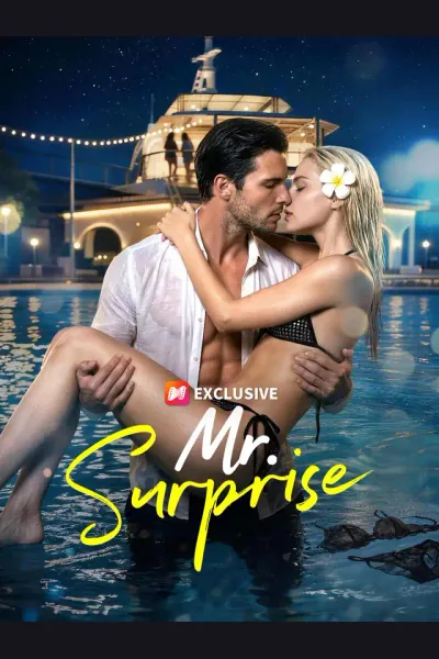 Affiche de Mr. Surprise