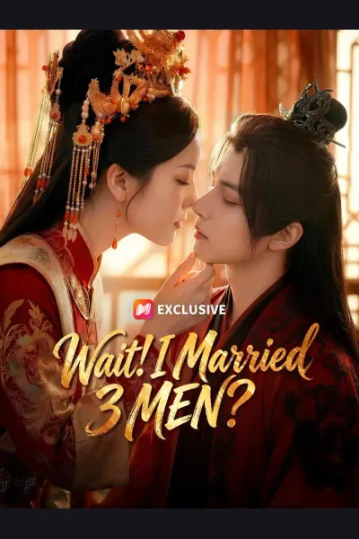 Wait! I Married 3 MEN? poster