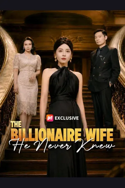 Pôster de The Billionaire Wife He Never Knew