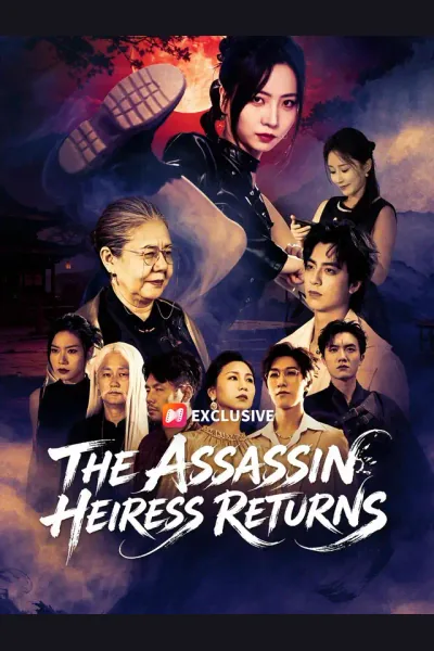 Affiche de The Assassin Heiress Returns