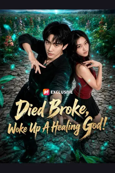 Affiche de Died Broke, Woke Up A Healing God!