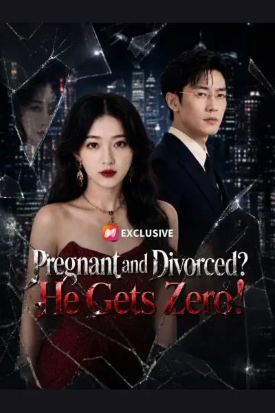 Affiche de Pregnant and Divorced? He Gets Zero!