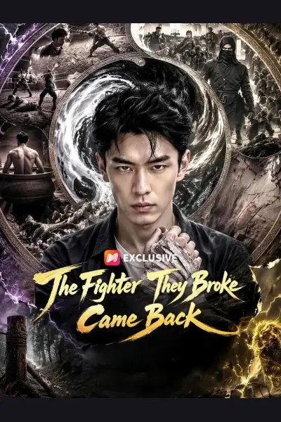 Póster de The Fighter They Broke Came Back