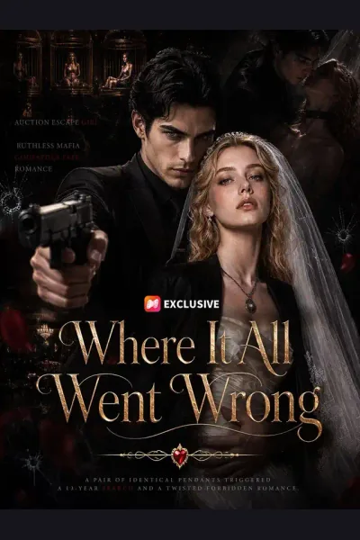Where It All Went Wrong poster