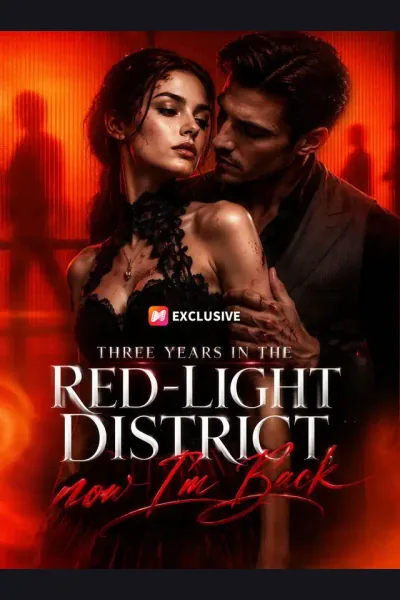 Affiche de Three Years in the Red-Light District, now I'm Back