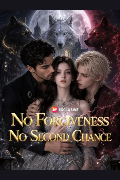 No Forgiveness, No Second Chance poster