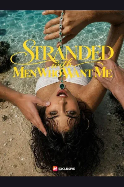 Póster de Stranded with Men Who Want Me