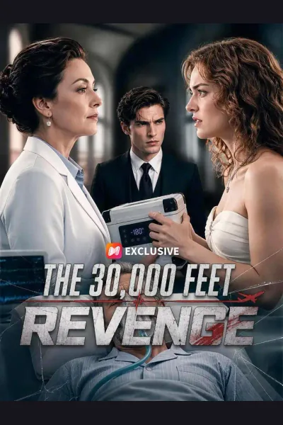 Póster de The 30,000 Feet Revenge