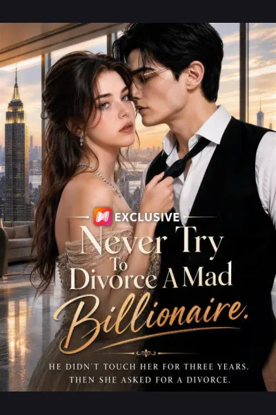 Never Try To Divorce A Mad Billionaire poster