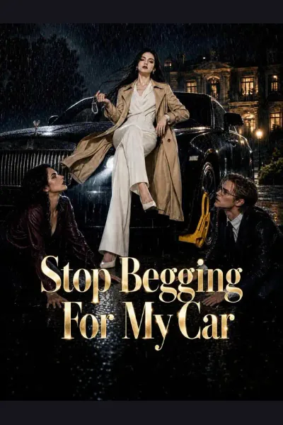 Stop Begging For My Car poster