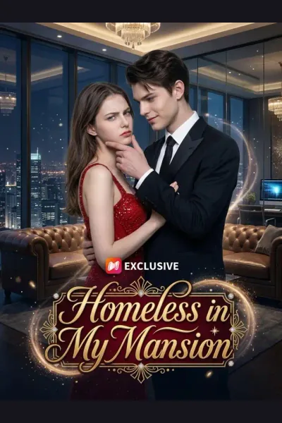 Póster de Homeless in My Mansion