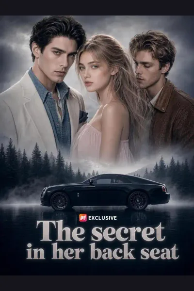 The secret in her back seat poster