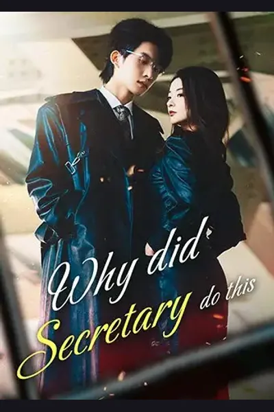 Póster de Why did Secretary do this