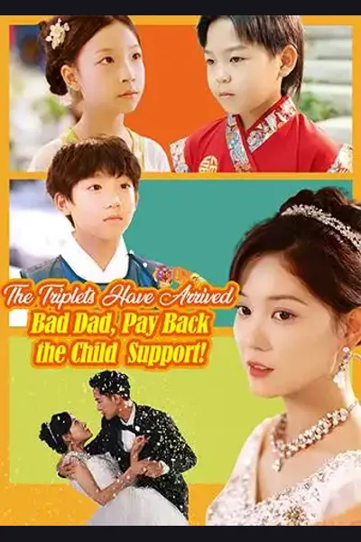 The Triplets Have Arrived: Bad Dad, Pay Back the Child Support poster