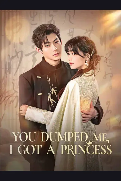 You Dumped Me, I Got a Princess poster