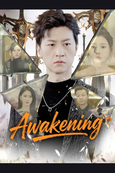 Pôster de Awakening