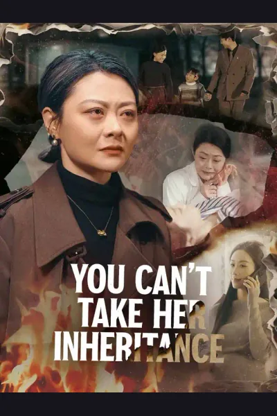 Affiche de You Can't Take Her Inheritance