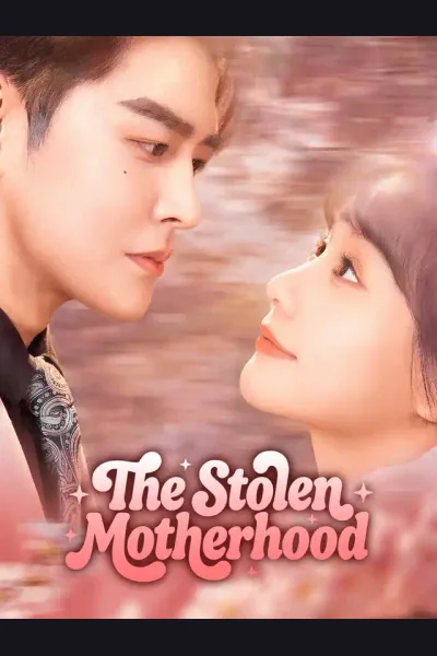 Affiche de The Stolen Motherhood