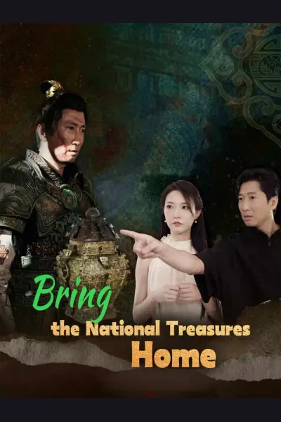 Pôster de Bring the National Treasures Home
