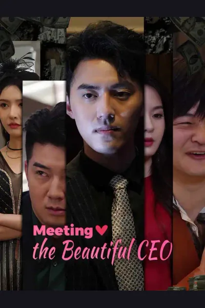 Meeting the Beautiful CEO poster
