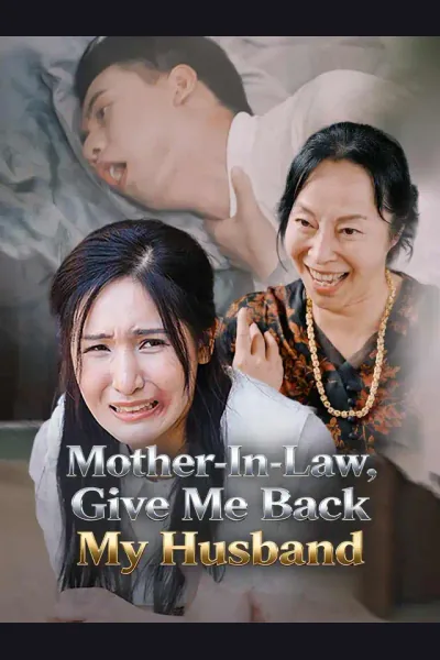 Mother-In-Law, Give Me Back My Husband poster