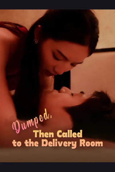 Dumped, Then Called to the Delivery Room poster