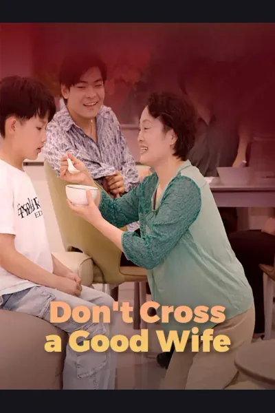 Póster de Don't Cross a Good Wife