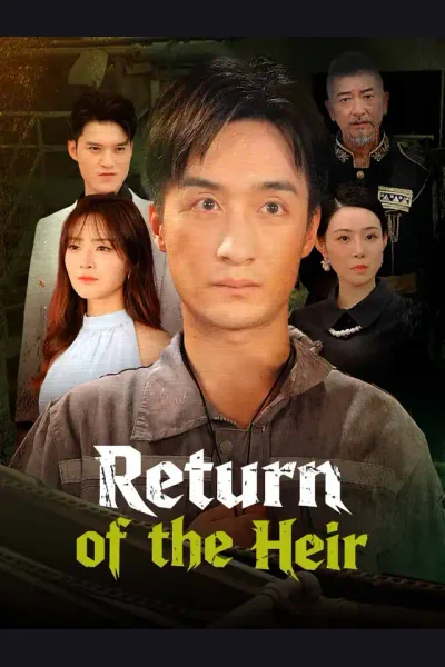 Return of the Heir poster