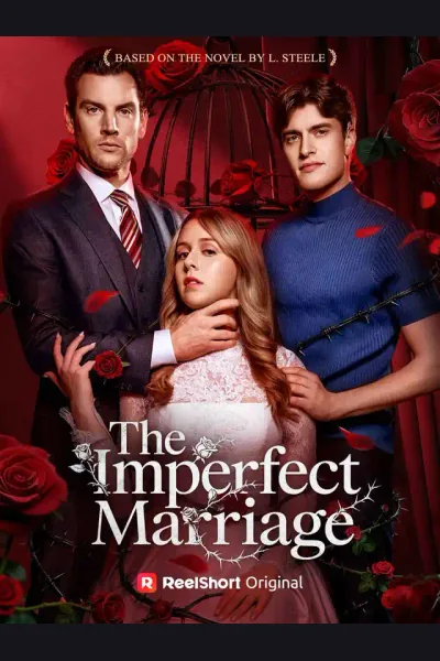The Imperfect Marriage poster