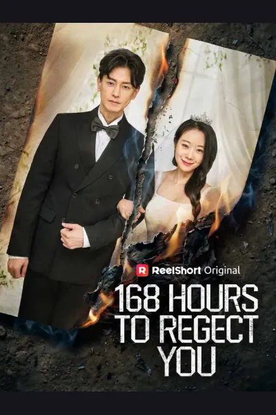 Affiche de 168 Hours to Regret You