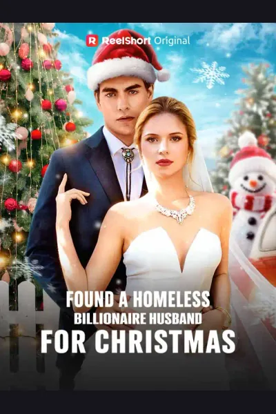 Pôster de Found A Homeless Billionaire Husband for Christmas