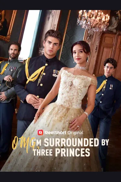 Póster de OMG, I'm Surrounded by Three Princes