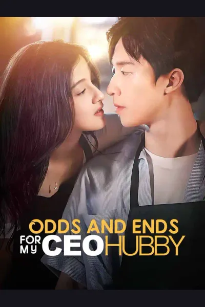 Pôster de Odds and Ends for My CEO Hubby