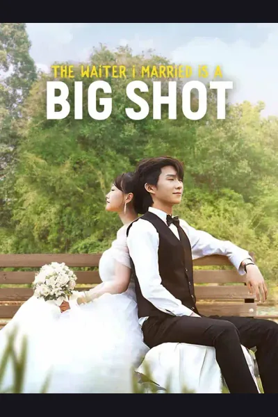 Póster de The Waiter I Married is a Big Shot
