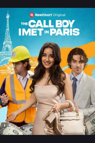 The Call Boy I Met in Paris poster