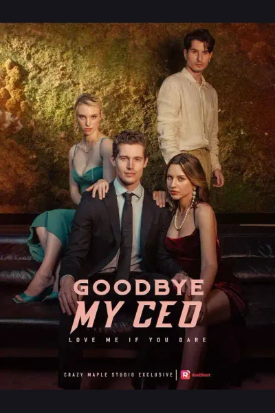 Goodbye, My CEO poster