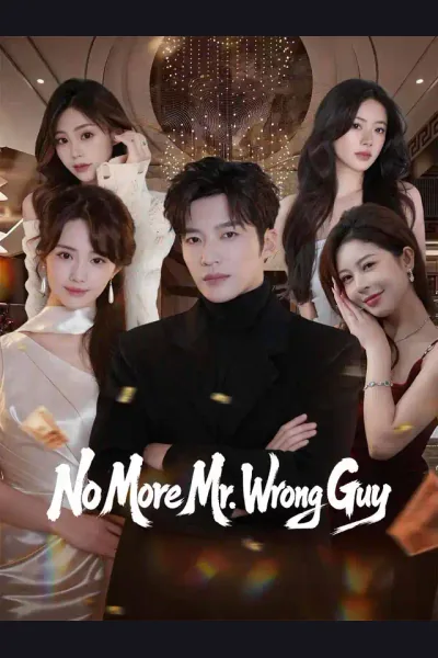 Affiche de No More Mr. Wrong Guy
