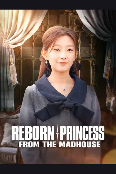 Póster de Reborn Princess From the Madhouse