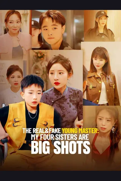 The Real&Fake Young Master: My Four Aunties Are Big Shots poster
