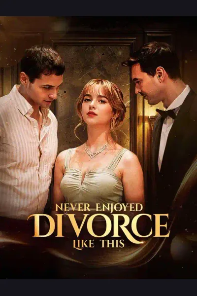Póster de Never Enjoyed Divorce Like This